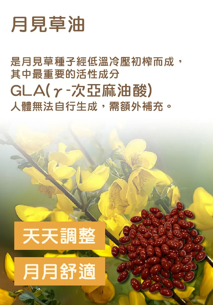 酷冷特選【阿克索生醫】熟齡寶 黑種草精油 60粒/盒 介紹圖 25