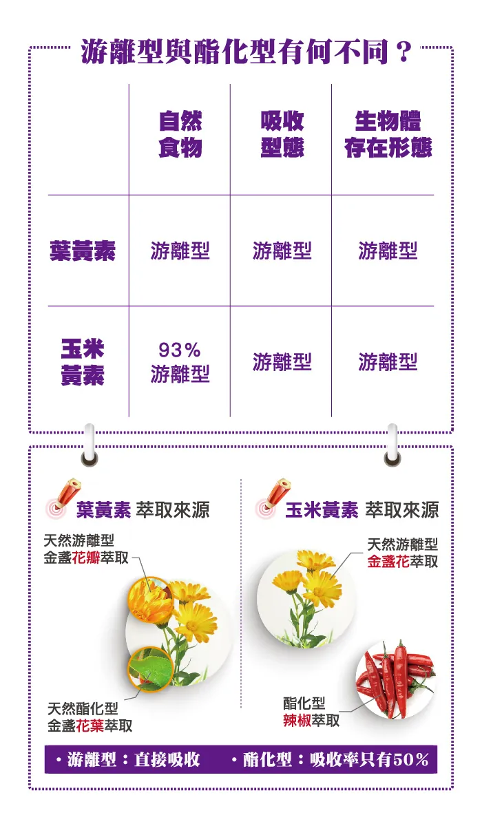 酷冷特選【台灣康田】愛視康10：2 (美國NIH研究院配方) 30粒/盒 介紹圖 5