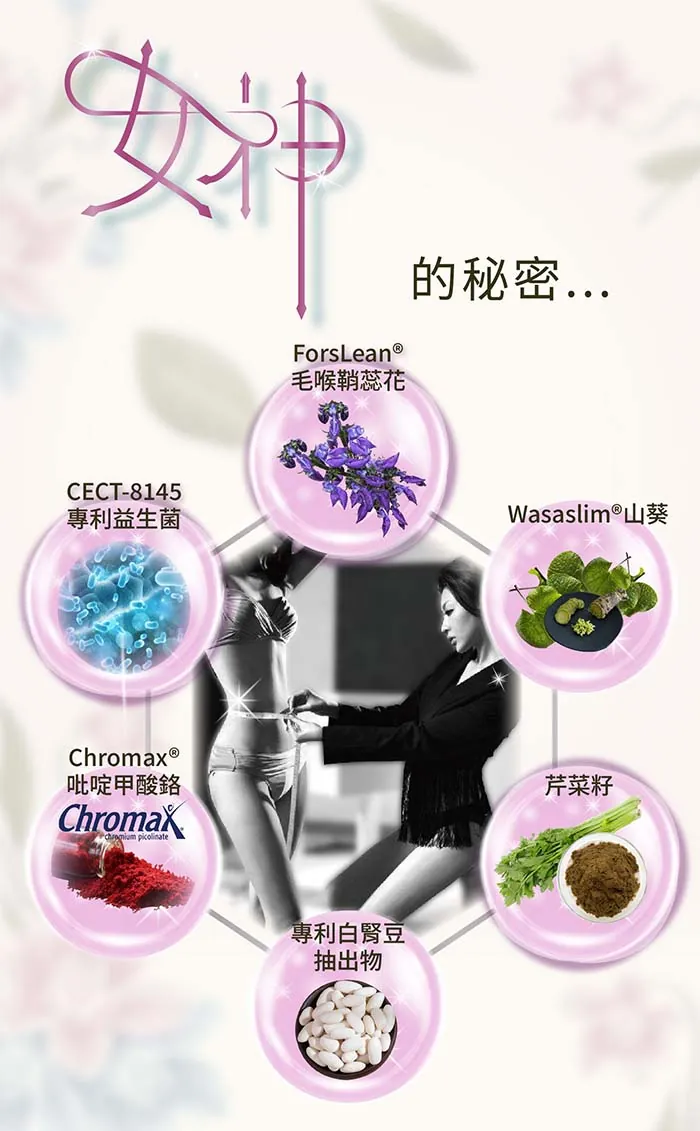 酷冷特選【阿克索生醫】女神孅體樂 (毛喉翹雙益菌專利配方) 60粒/盒 介紹圖 4