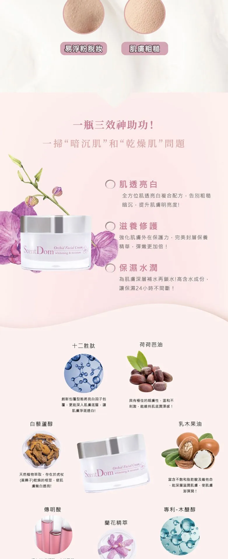 【蘭都ScentDom】蘭漾淨白保濕霜 介紹圖 2