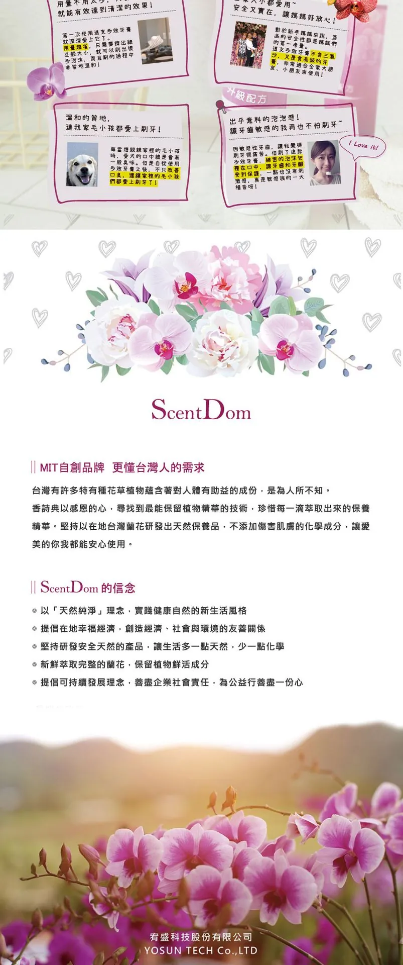 【蘭都ScentDom】多效修護牙膏 介紹圖 4