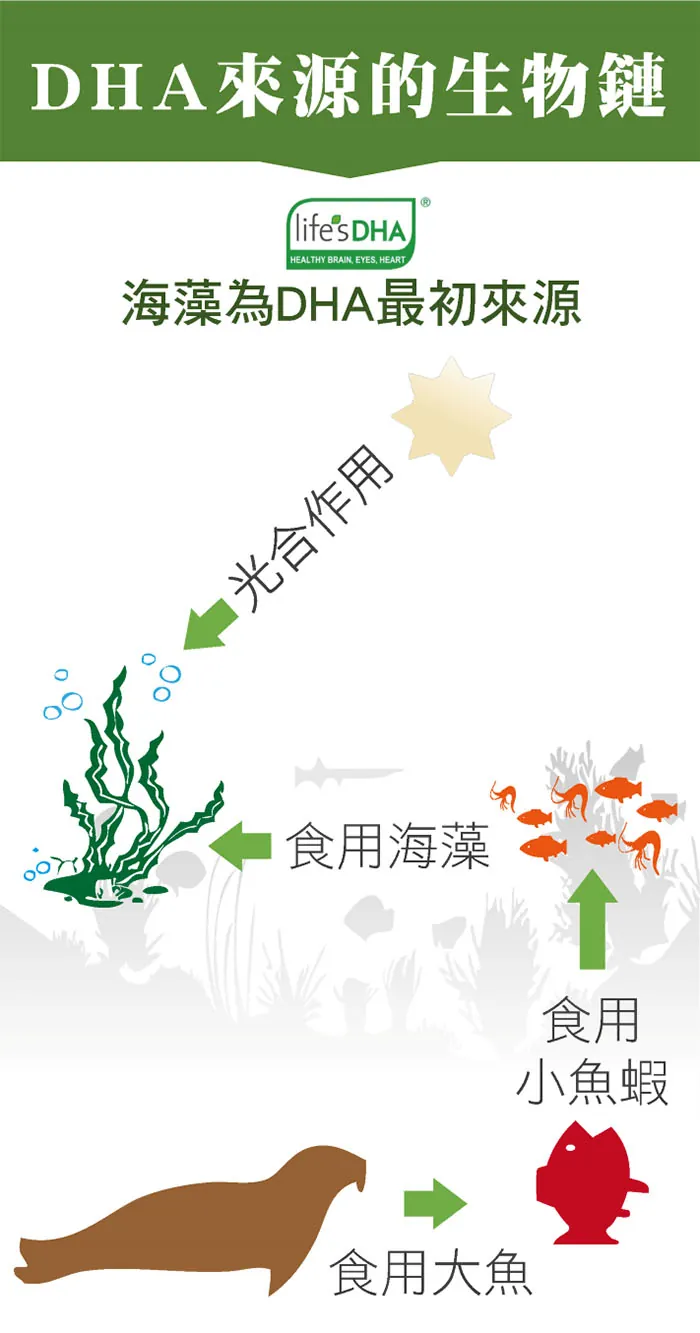 酷冷特選【台灣康田】PS磷脂醯絲胺酸 60粒/盒 介紹圖 8